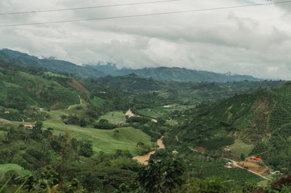 Luis Anibal Calderon Castillo Natural Process | Green Coffee $10.99/lb