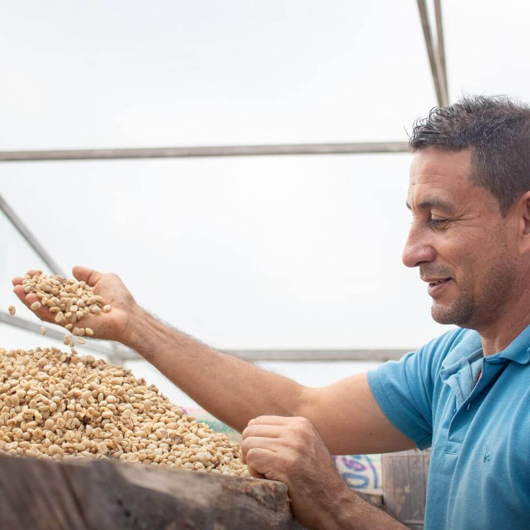 Luis Velazco Regional Huila | Castillo Lavado Washed | Roasted
