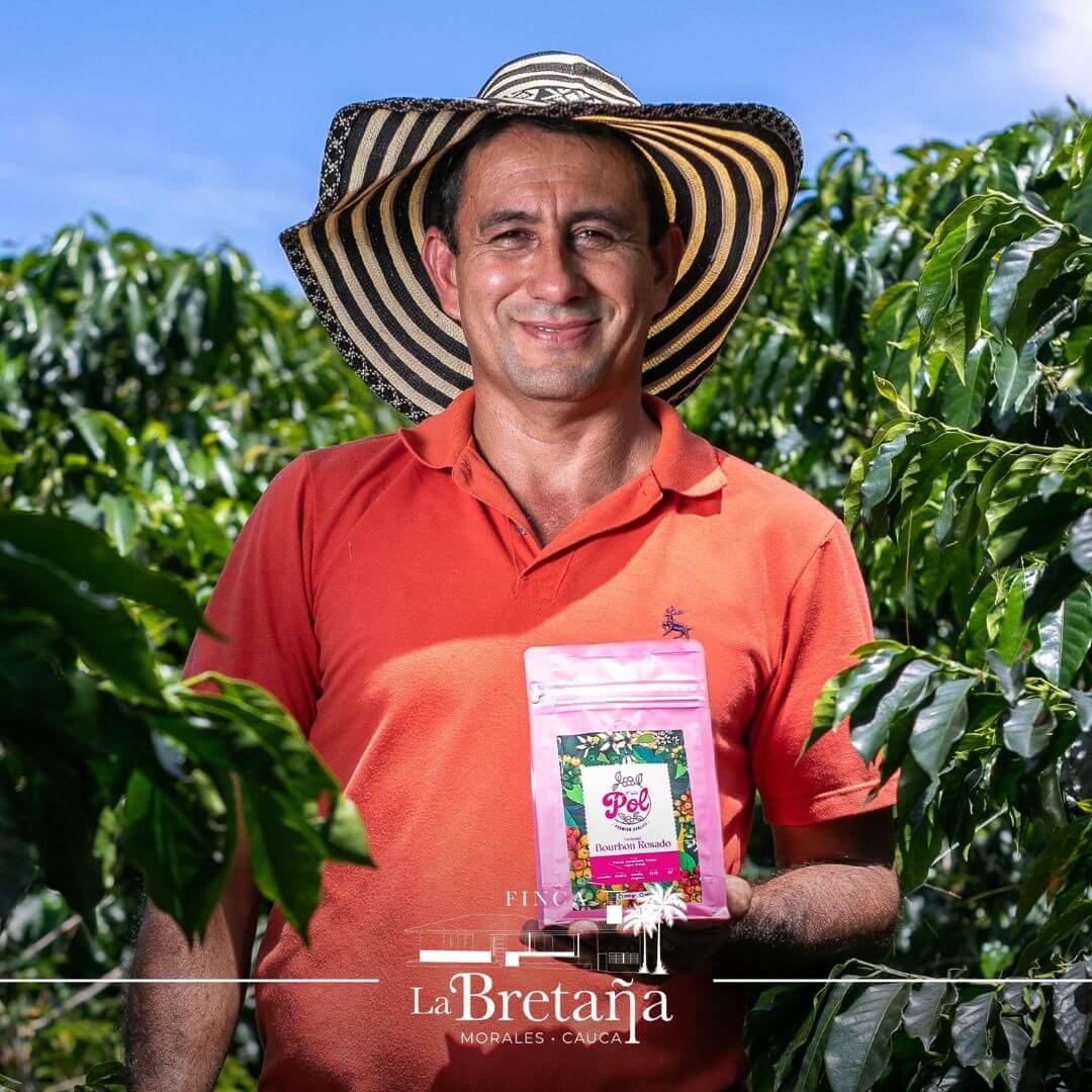 Luis Velazco Regional Huila | Castillo Lavado Washed | Roasted
