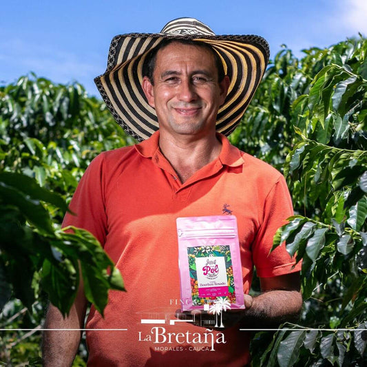 Luis Velazco Regional Huila | Castillo Lavado Washed | Roasted