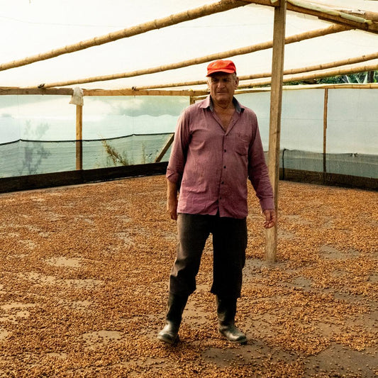 Wilder Lazo SL 28 Lavado Washed Process | Green Coffee $11.49/lb